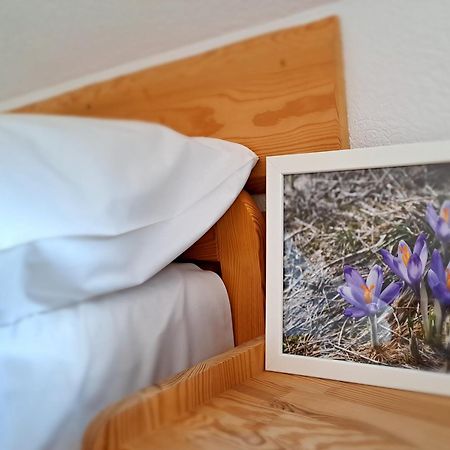 Przy Szlaku Zakopane Centrum Pokoje & Apartamenty Экстерьер фото