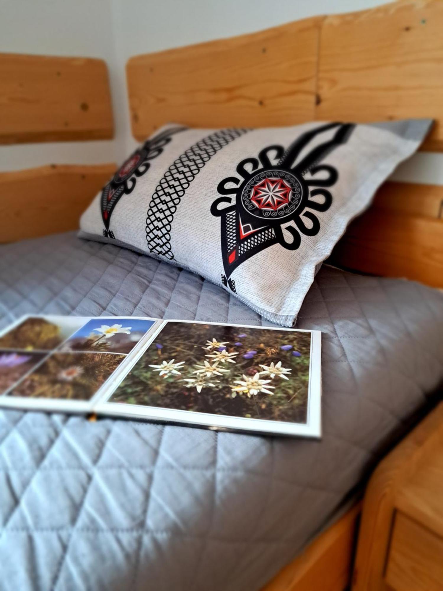 Przy Szlaku Zakopane Centrum Pokoje & Apartamenty Экстерьер фото