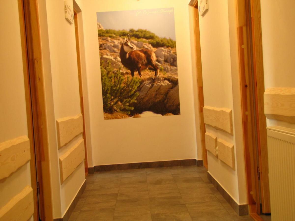 Przy Szlaku Zakopane Centrum Pokoje & Apartamenty Экстерьер фото