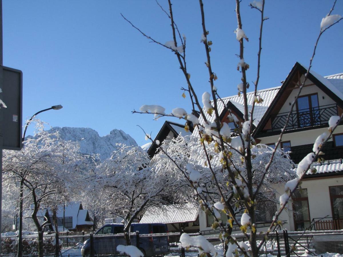 Przy Szlaku Zakopane Centrum Pokoje & Apartamenty Экстерьер фото